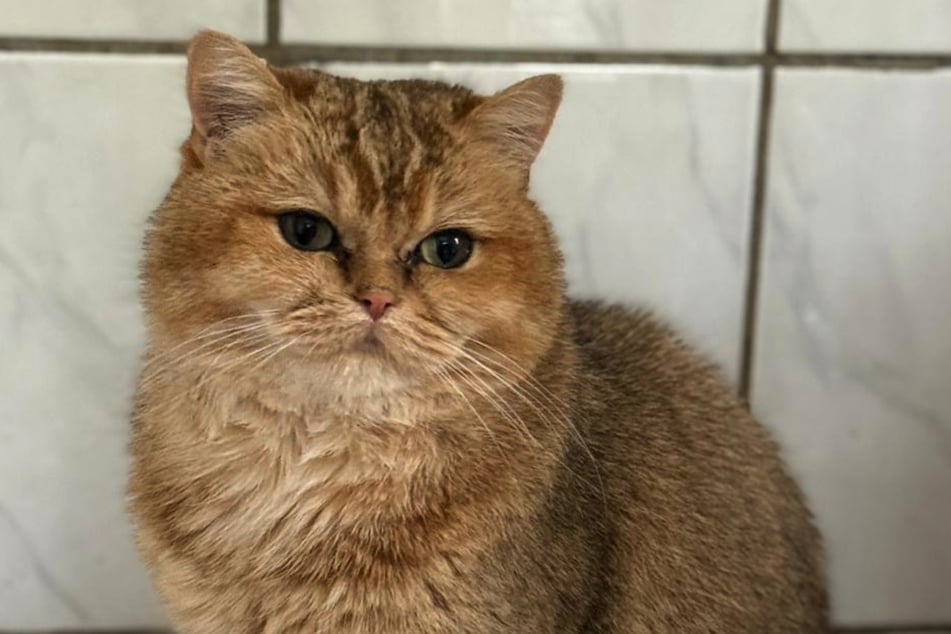 Rüdiger liebt den Kontakt zu Menschen.