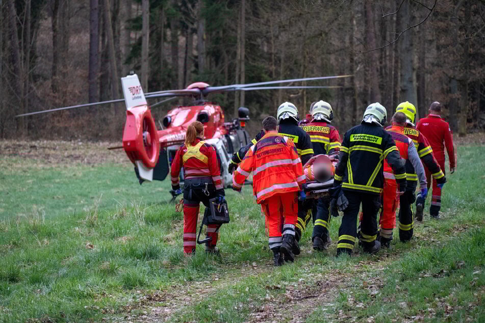 Rettungseinsatz in Sachsen: Mann bei Baumfällarbeiten verletzt