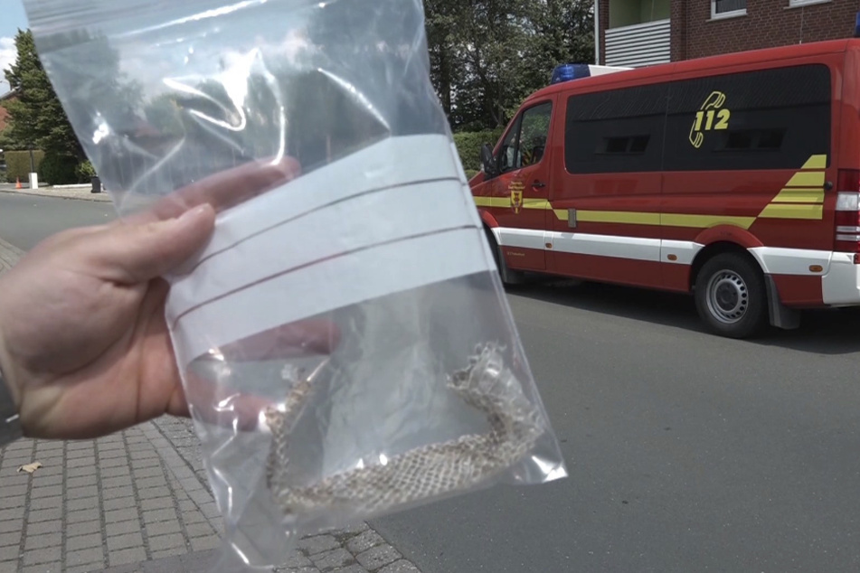 Eine Person hält Schlangenhaut in einer Plastiktüte in der Hand.