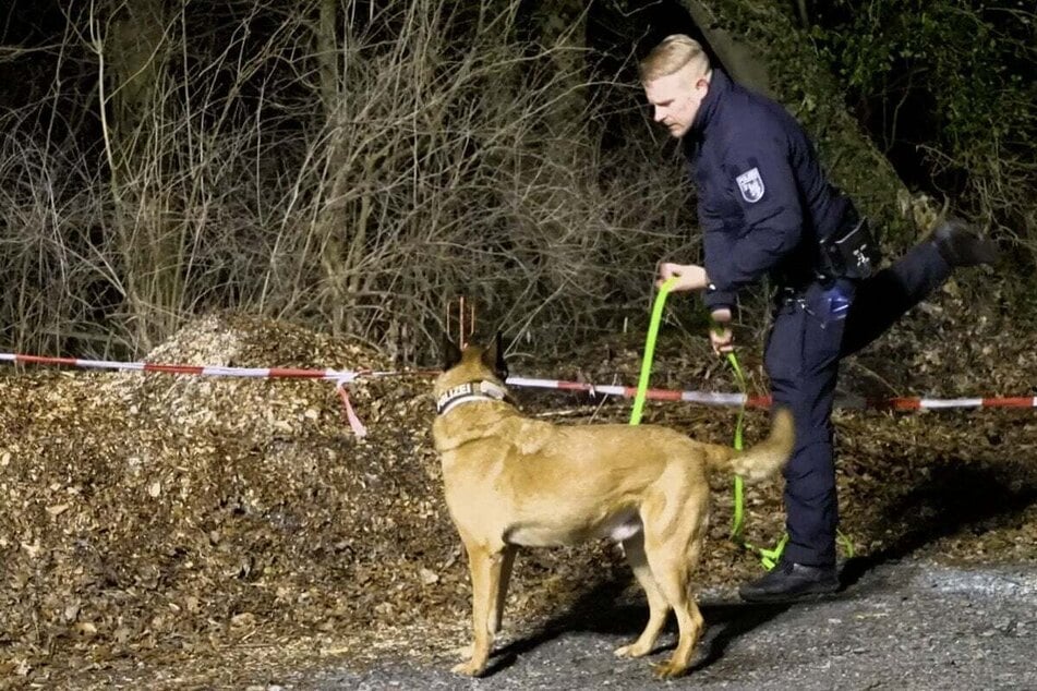 In der Nacht zu Montag fand im Bereich der Schule am Noor in Eckernförde eine Suchaktion statt.