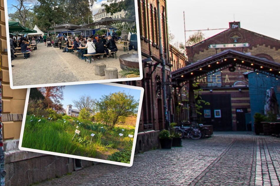 Weinfest, Kunstmarkt und Pflanzen-Börse: Das sind die Leipziger Event-Highlights am Wochenende!