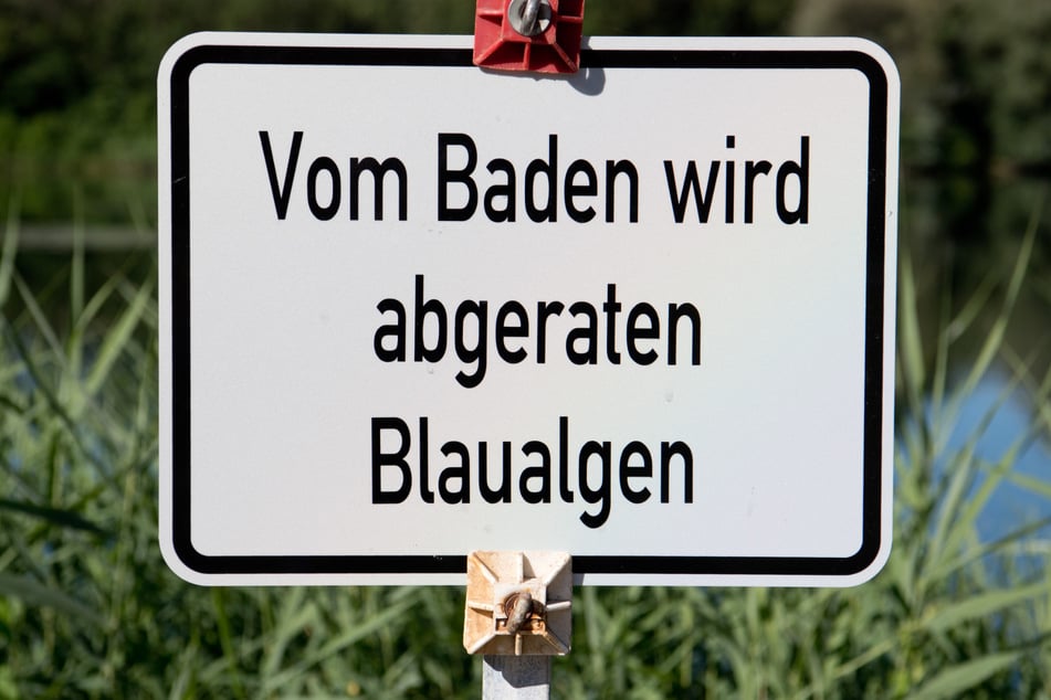 Vom Baden wird im Stausee Quitzdorf gerade abgeraten. (Symbolfoto)