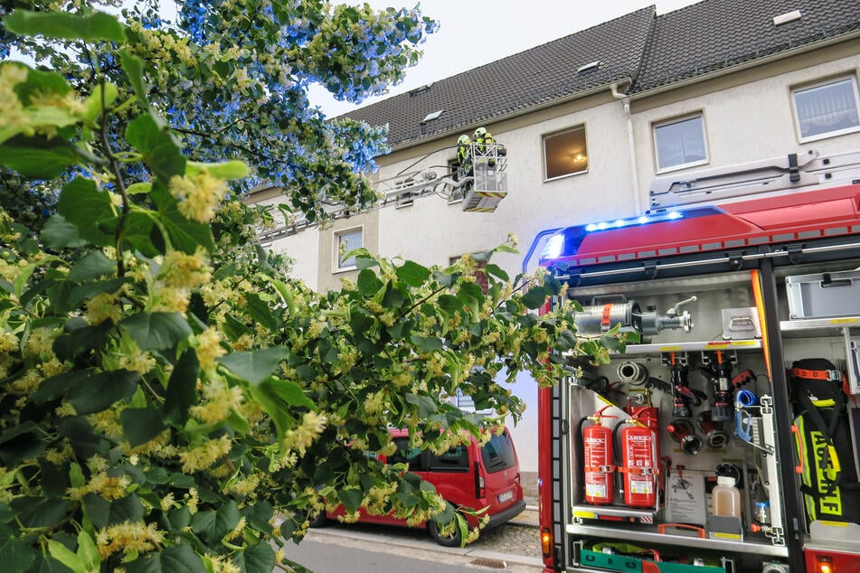 Passanten hatten in der Lindenstraße in Aue Rauch aus einem Fenster kommen sehen und die Feuerwehr gerufen.
