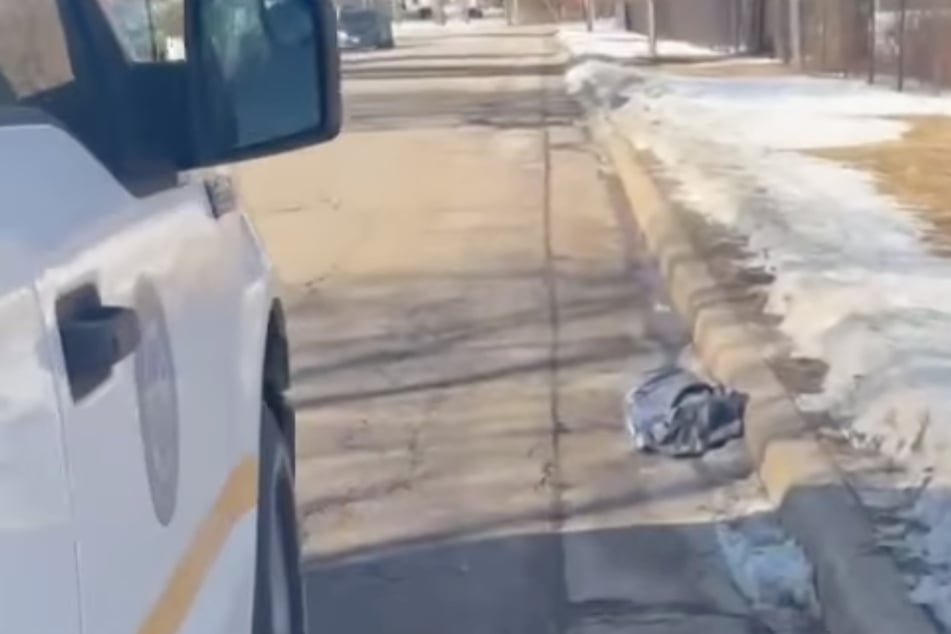 Cat found abandoned in a bag in heartbreaking police discovery