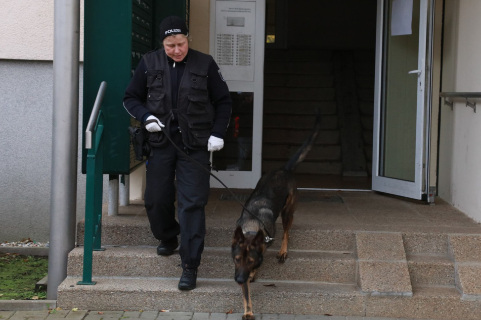 Bei dem Einsatz waren auch zwei spezielle Datenträger-Spürhunde dabei.