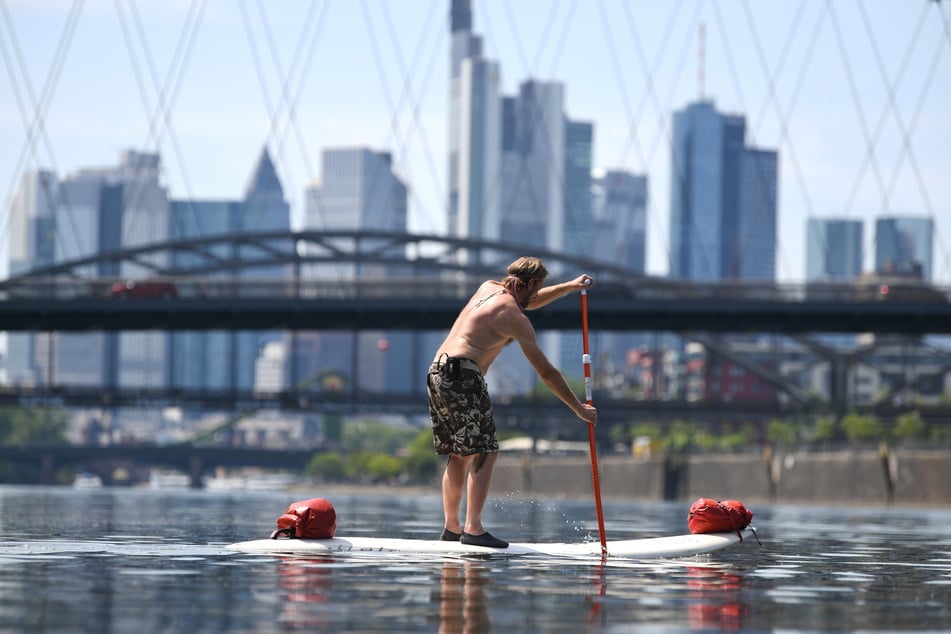 Stand-Up-Paddling macht Spaß! Der Main in Frankfurt bietet sich an