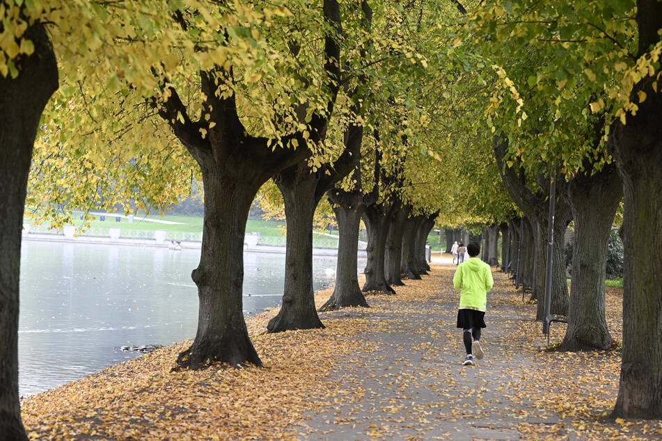 Schirm raus oder Sonne genießen? Das Wetter in NRW am Wochenende