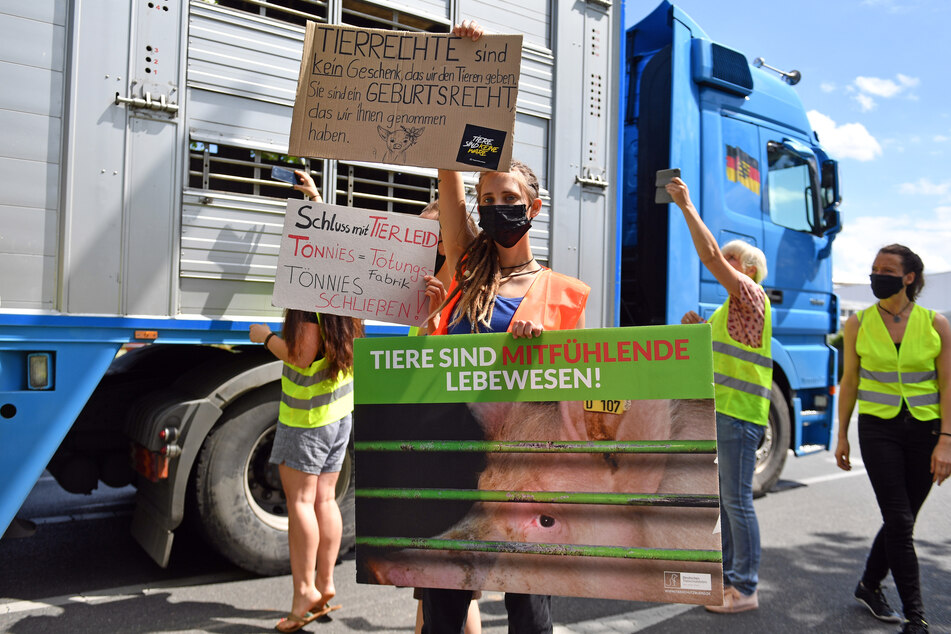 Mehrere Transporter wurden vor dem Schlachtbetrieb in Weißenfels gestoppt.