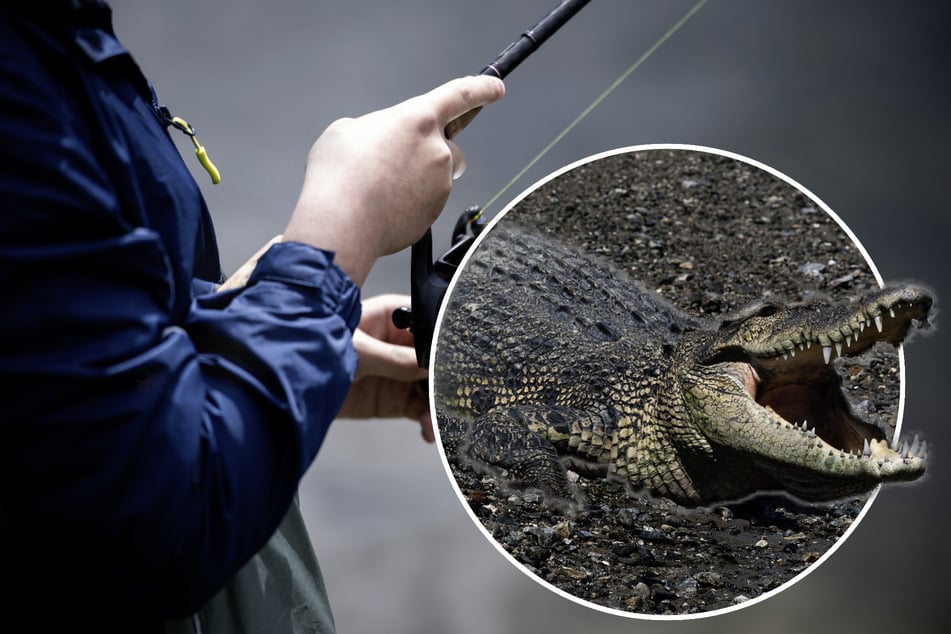 Beim Angeln schnappt es zu: Salzwasserkrokodil attackiert Teenager