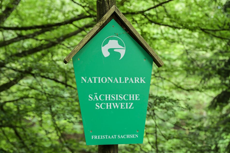Selbsterklärend: Dieses Schild weist auf den Nationalpark Sächsische Schweiz hin.
