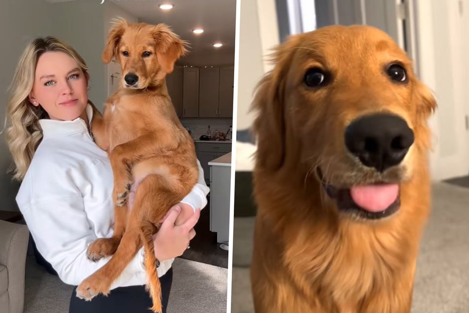 Belle (21) trägt ihren geliebten Golden Retriever Murphy wortwörtlich auf Händen.