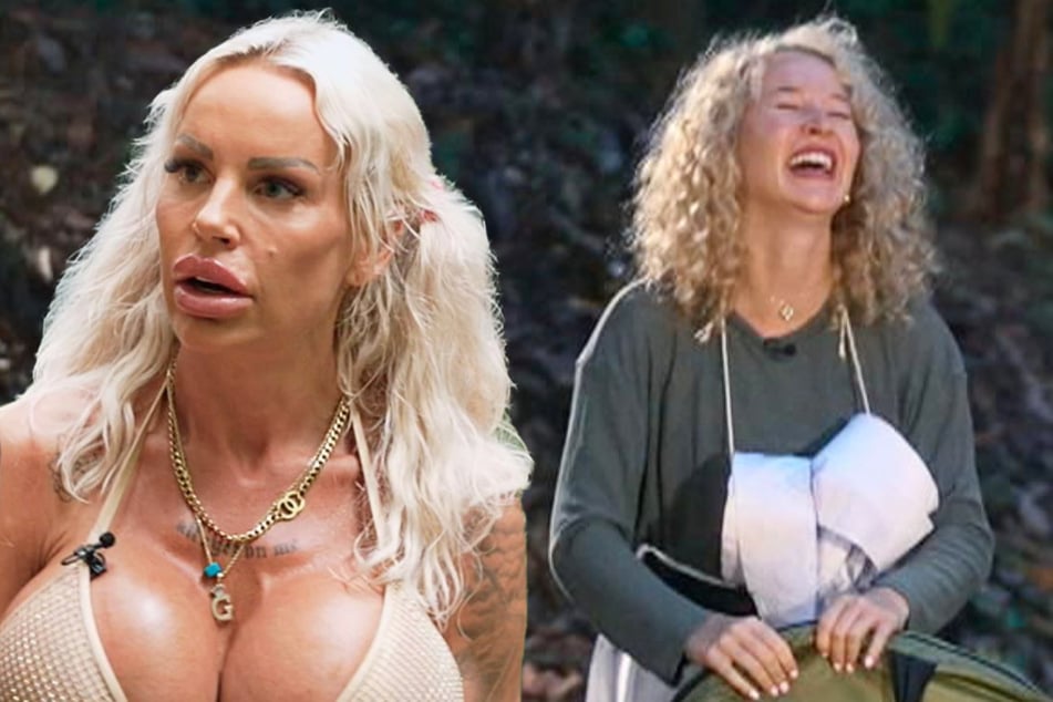 "Habe noch nie im Leben in Müllbeutel gepinkelt": Reality Queens lost im Dschungel