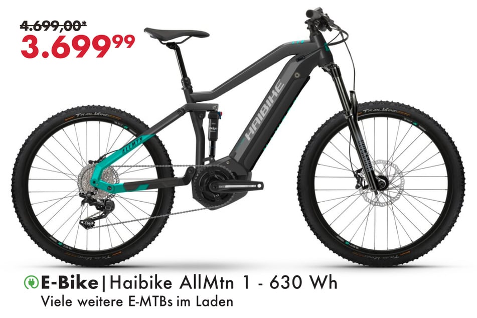 Haibike AllMtn 1