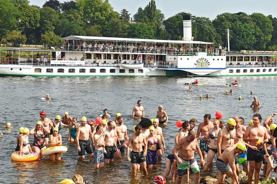 Dresden: Elbeschwimmen findet wieder statt! Das müsst Ihr dazu wissen