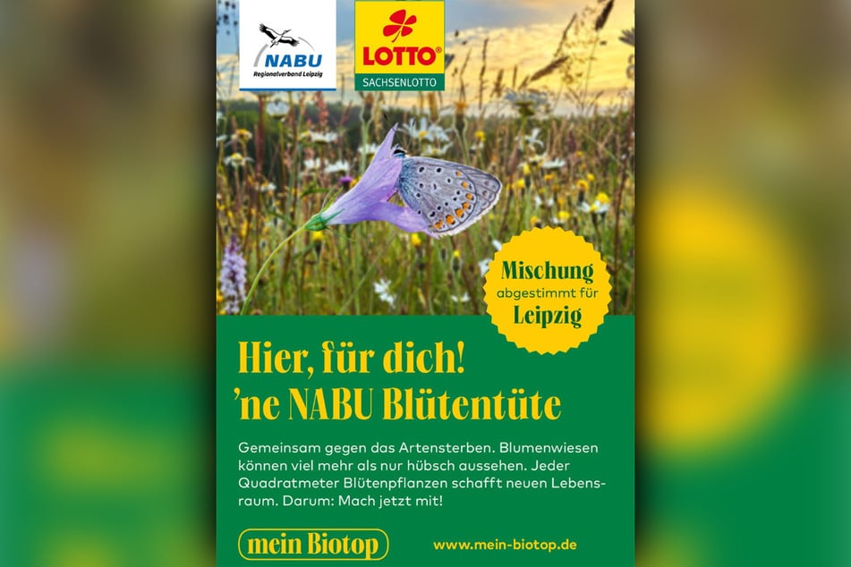 Eine solche NABU-Blumenmischung überreichte Tina ihrem späteren Peiniger. Kurz darauf offenbarte der sein wahres Gesicht.