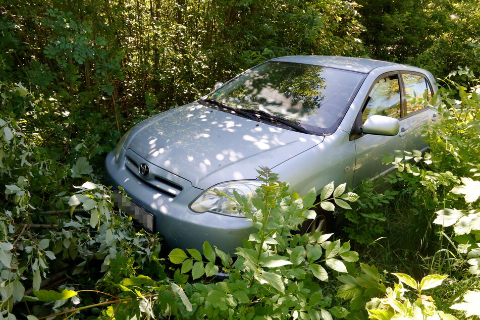 Der Toyota kam im Gebüsch zum Stehen, nachdem er auf dem Gehweg in eine Gruppe von Kita-Kindern gefahren war.