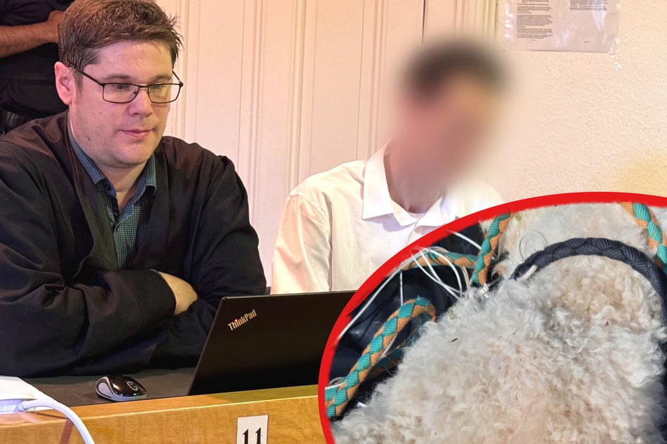 Hund "Buddy" im Wald erhängt: Aussagen des Angeklagten werfen Fragen auf