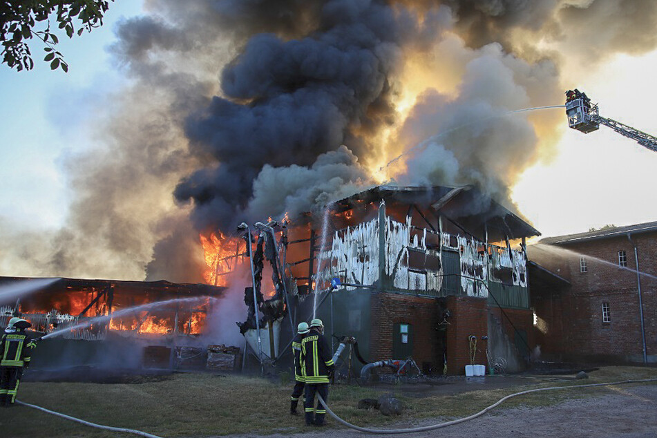 Die Feuerwehr kämpfte mit knapp 200 Einsatzkräften gegen die Flammen.