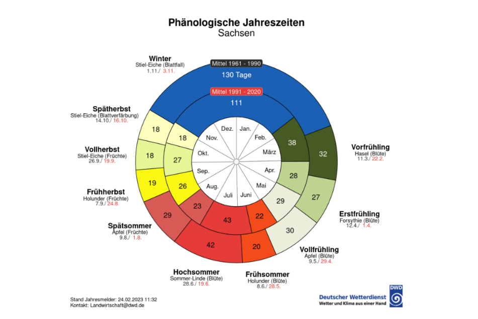 Auch in Sachsen beginnt das phänologische Jahr früher: Der äußere Ring zeigt das Mittel der Jahre 1961-1990, der innere für die Jahre 1991-2020.
