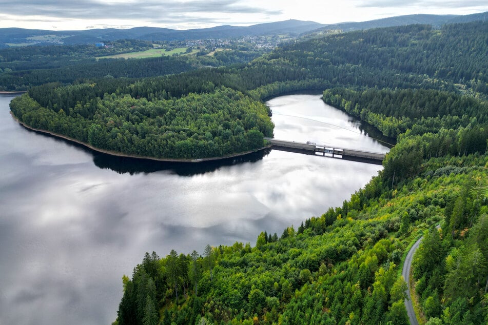 Blick auf den Wald an der Talsperre Eibenstock. Der dortige Forstbezirk gehört zur waldreichsten Region Sachsens. Er erstreckt sich über das Erzgebirge und das Vogtland.