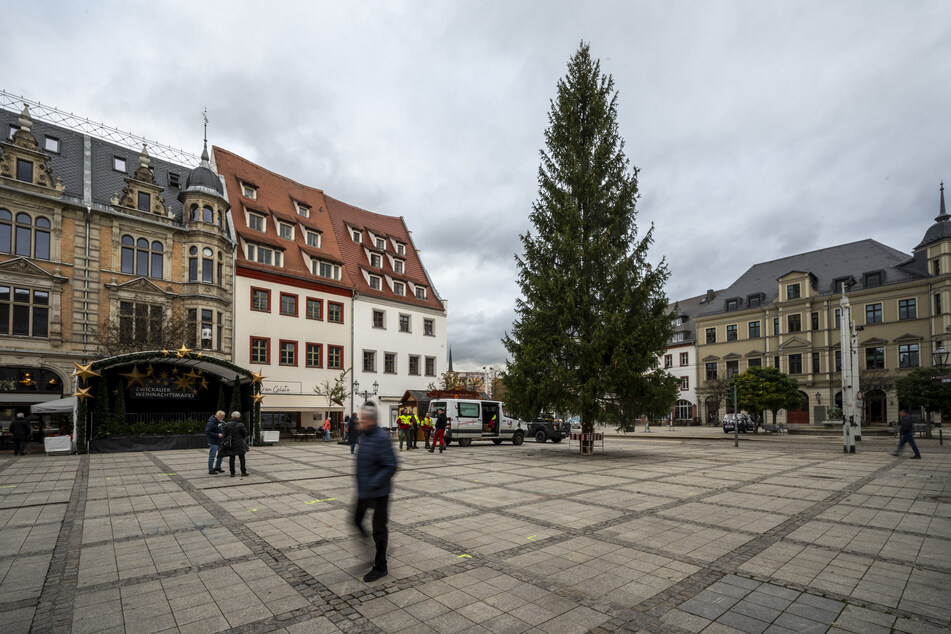 Auch in Zwickau wurde nun der Weihnachtsbaum aufgestellt. Die 20 Meter hohe Fichte kommt aus dem Vogtland.