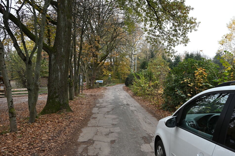 Das Parken am Wildgatter sorgt regelmäßig für Probleme.