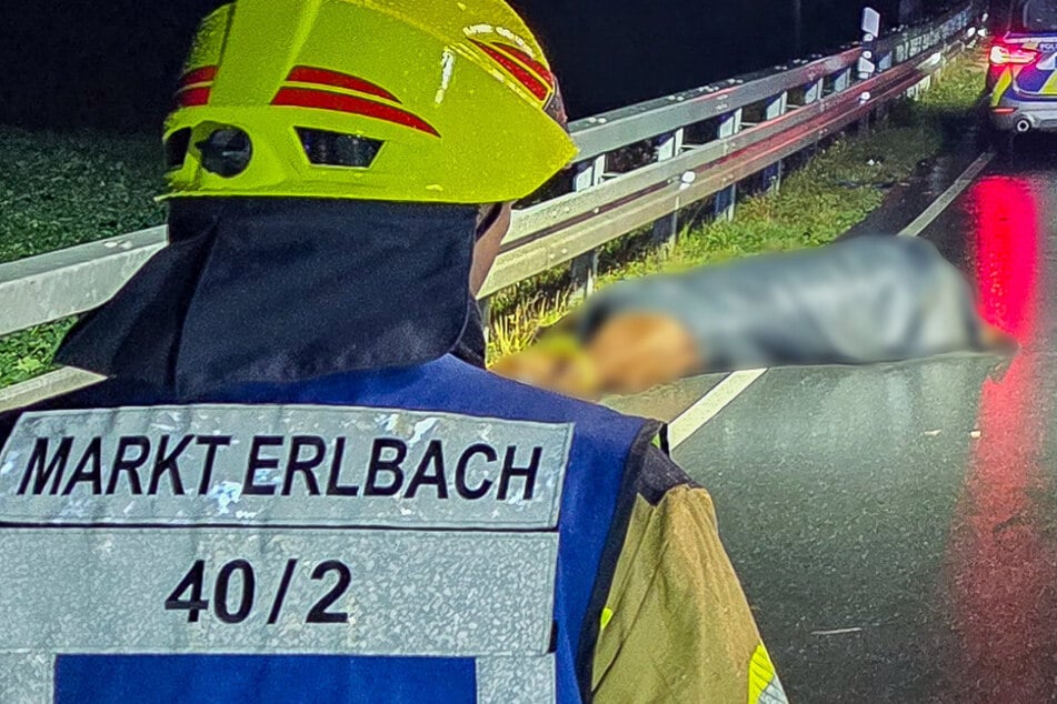 Tiere ausgebüxt: Drei tote Pferde und zwei verletzte Autofahrer nach Unfällen