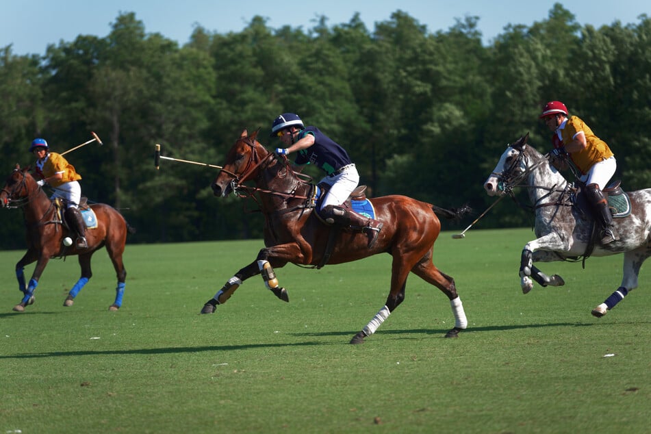 Acht Teams werden auf der über 135 Jahre alten Galopprennbahn beim Polo-Turnier gegeneinander antreten.