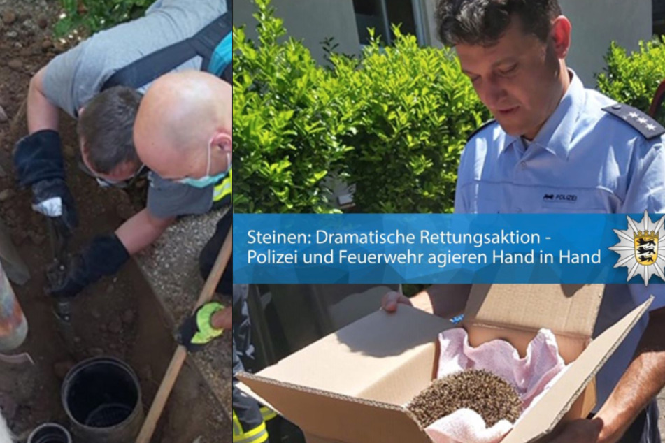Die Polizei konnte dem Igel helfen.