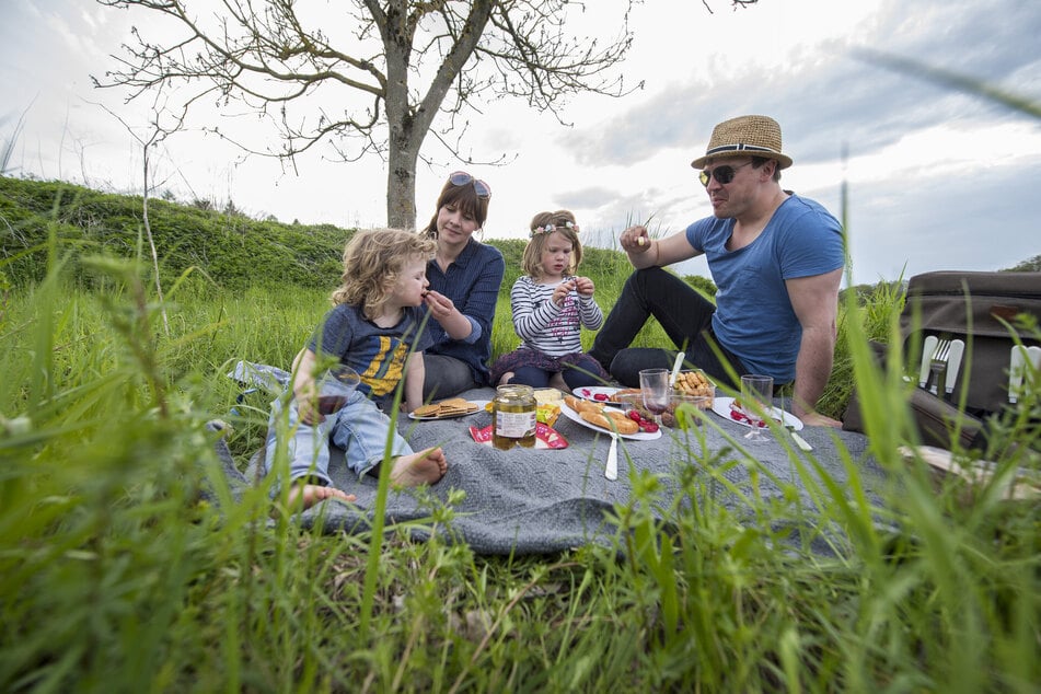 Nichts gegen ein Picknick im Frühling oder Sommer. Hinterher sollte man sich gründlich absuchen. Denn im Gras fühlen sich Zecken wohl. Die Spinnentiere können gefährliche Krankheiten übertragen.