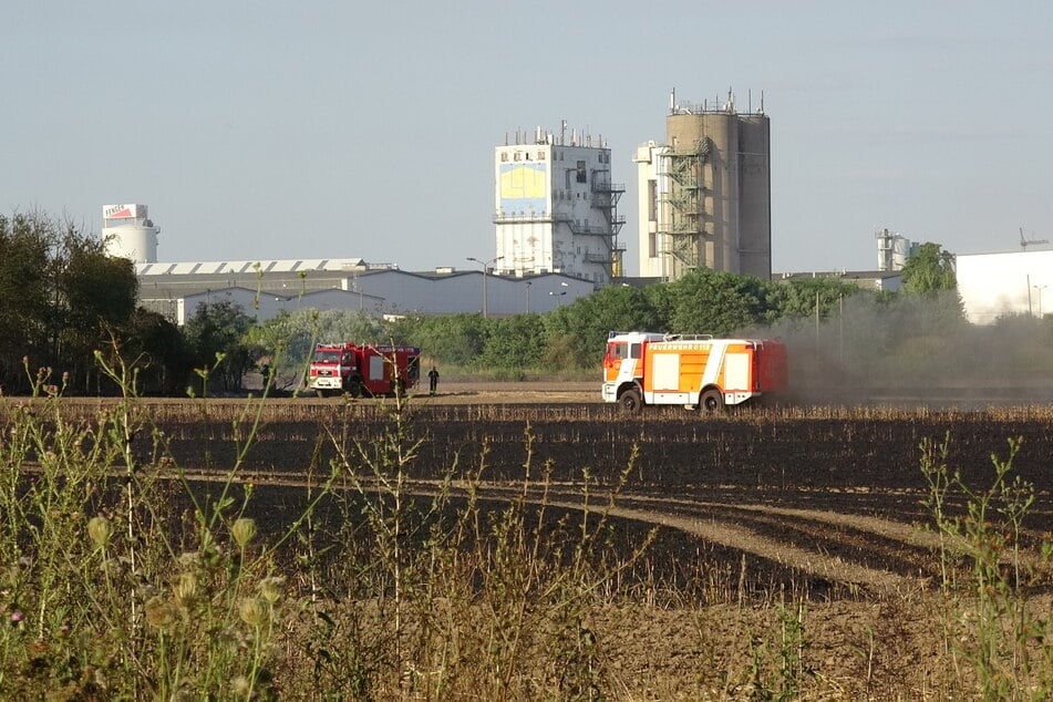 Leipzig: Schon wieder! Feuerwehr muss zu Feldbrand nördlich von Leipzig ausrücken
