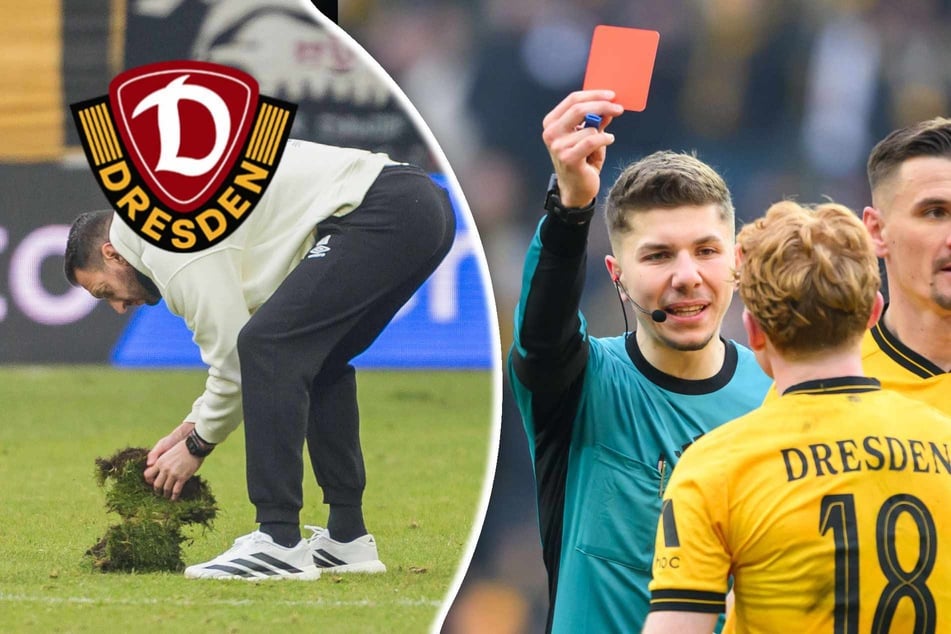 Dynamo-Stütze Wagner fehlt auf Schalke: "Ärgert mich sehr"