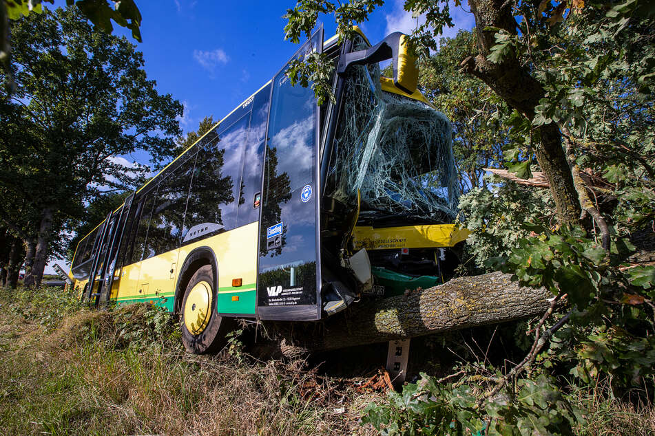 Stark beschädigt steht der Bus nach dem Unfall mit mehreren verletzten Grundschülern im Straßengraben.