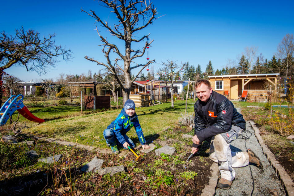 Finn (8) hilft Papa Andreas Bauer (41) beim Häckeln der Beete. Das ist laut Allgemeinverfügung erlaubt: „Sport und Bewegung an der frischen Luft im Umfeld des Wohnbereichs sowie Besuch des eigenen Kleingartens im Sinne des Bundeskleingartengesetzes ...“