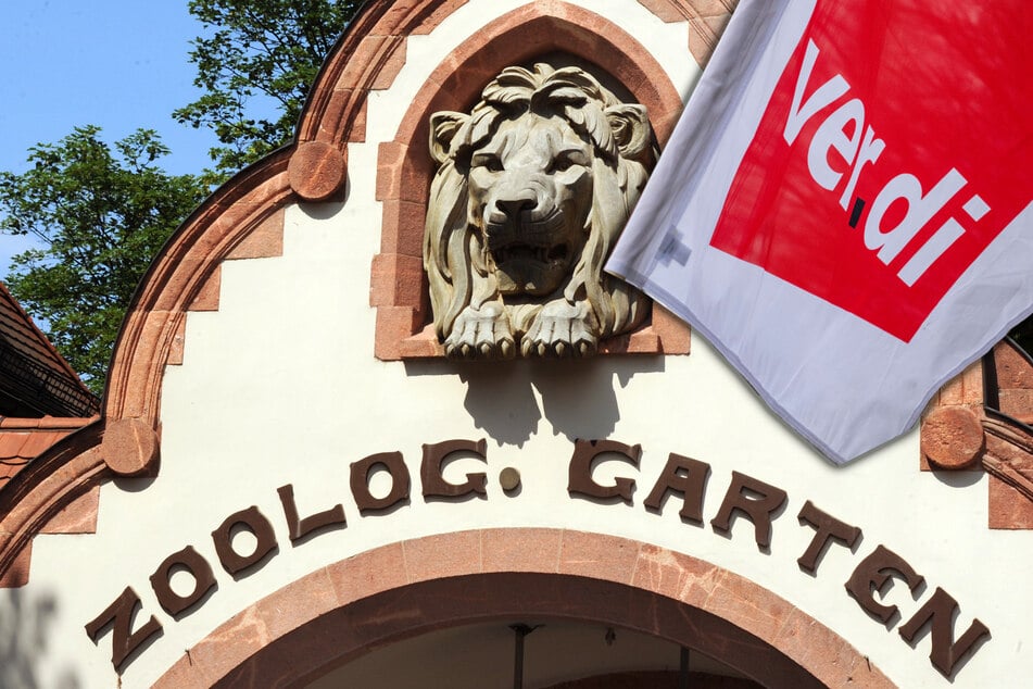 "Aktive Mittagspause" vor dem Eingangstor: Jetzt wird auch im Zoo Leipzig protestiert