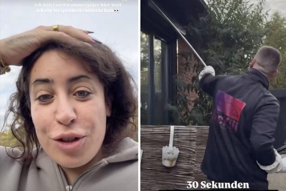 Jolina Mennen (32) musste sich gleich mit einem ganzen Wespennest herumschlagen.