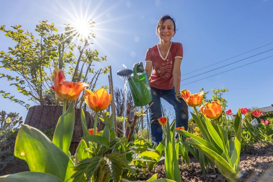 Ines Wiegand (54) gießt in ihrem Garten.