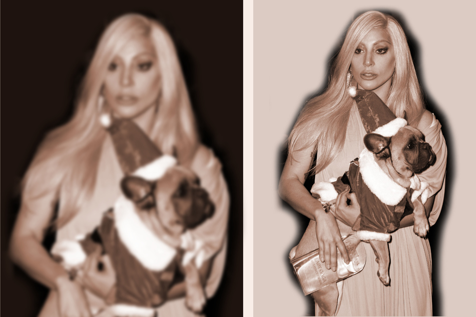Lady Gaga dognappers charged with attempted murder and robbery!