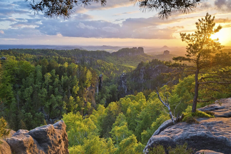 Für diese Aussicht muss man nicht nach Kapstadt reisen. Das Elbsandsteingebirge reicht aus.