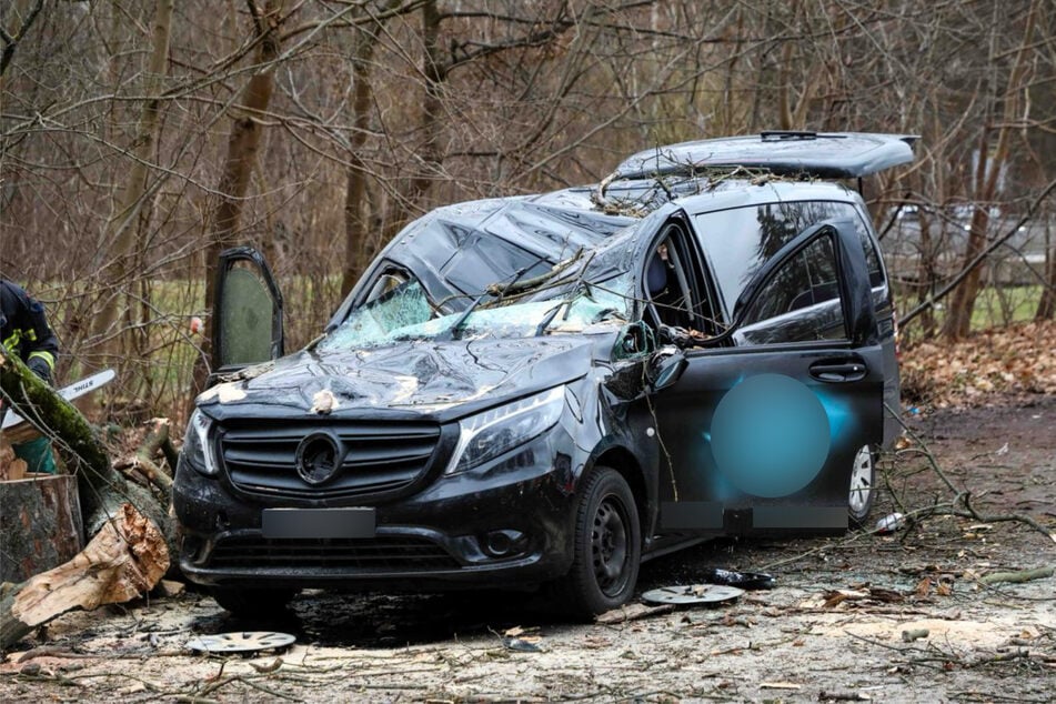 Nachdem der Baum entfernt wurde, sind die Schäden am Auto noch deutlicher sichtbar.