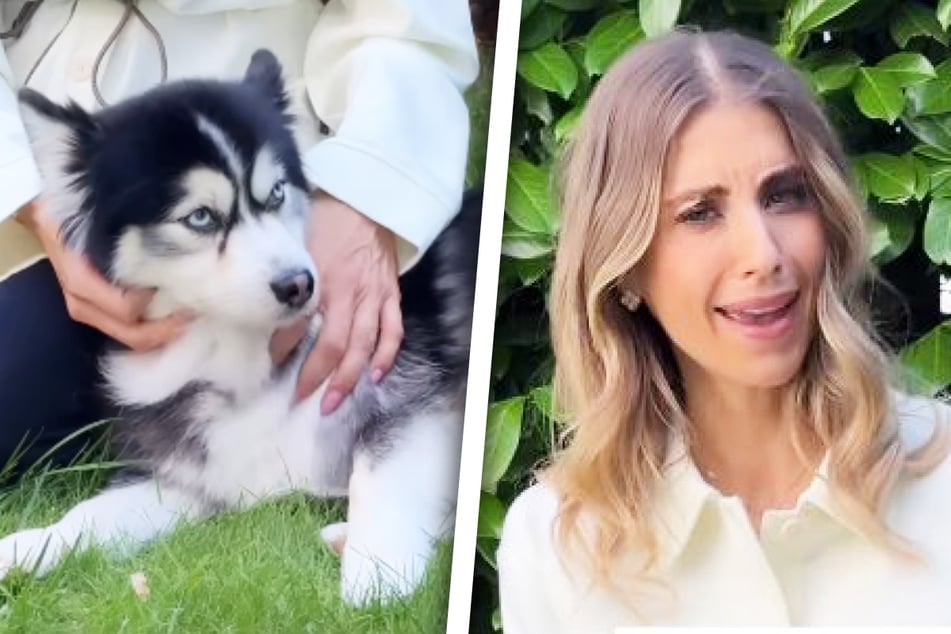 Cathy Hummels (37) hat ein Wochenende vor sich, bei dem wohl jede Menge gekuschelt werden dürfte.
