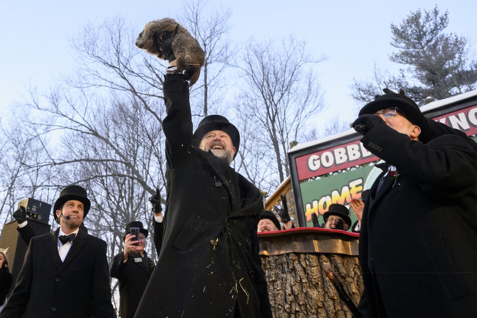 Das kleine Murmeltier "Punxsutawney Phil" wird von den Menschen gefeiert wie ein Held.
