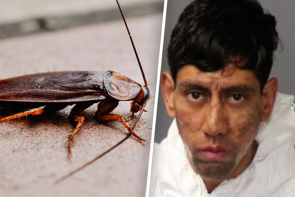 "Verschlüsselte Nachricht" in einer Kakerlake befahl es: Mann ermordet zwei Menschen