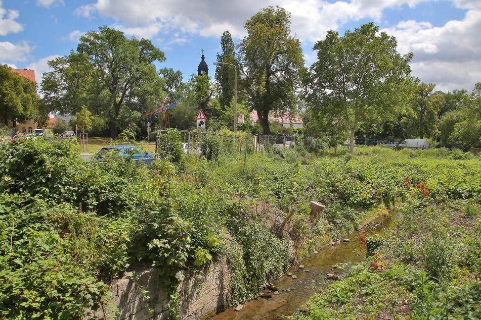 Ab Herbst soll der Kaitzbach renaturiert werden.