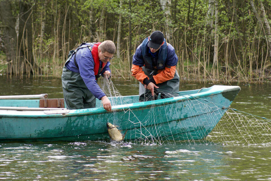 In Sachsen werden dringend Fischwirte gesucht!