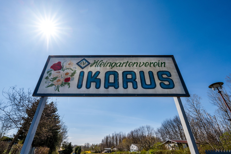 Der Kleingartenverein Ikarus erinnert an den früheren Flughafen.