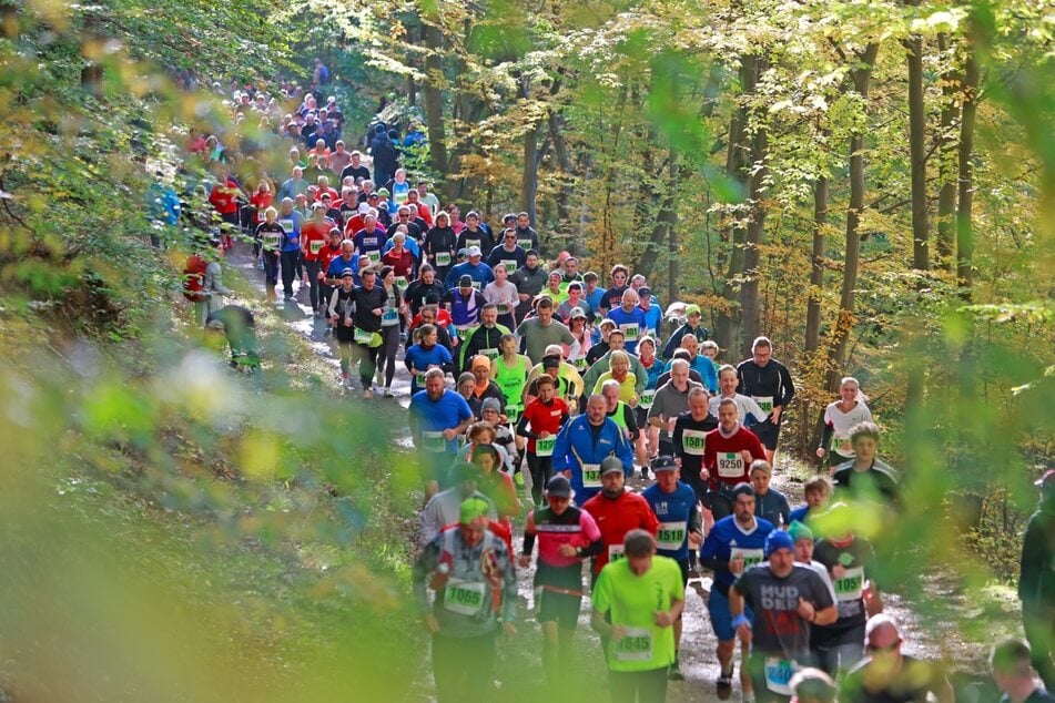 Sportler aus zehn Ländern fanden sich für den diesjährigen Gebirgslauf im Harz zusammen.