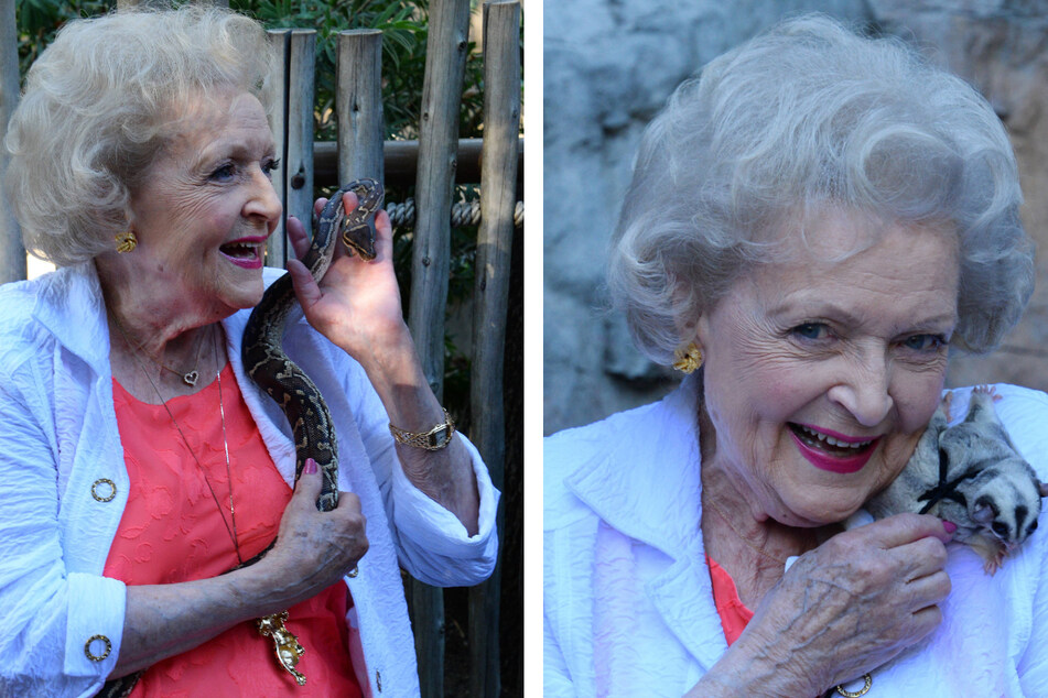 Betty White held an Angolan Python (l.) and a Sugar Glider (r.) at an event she attended at the Greater Los Angeles Zoo, and was an outspoken advocate for animals.