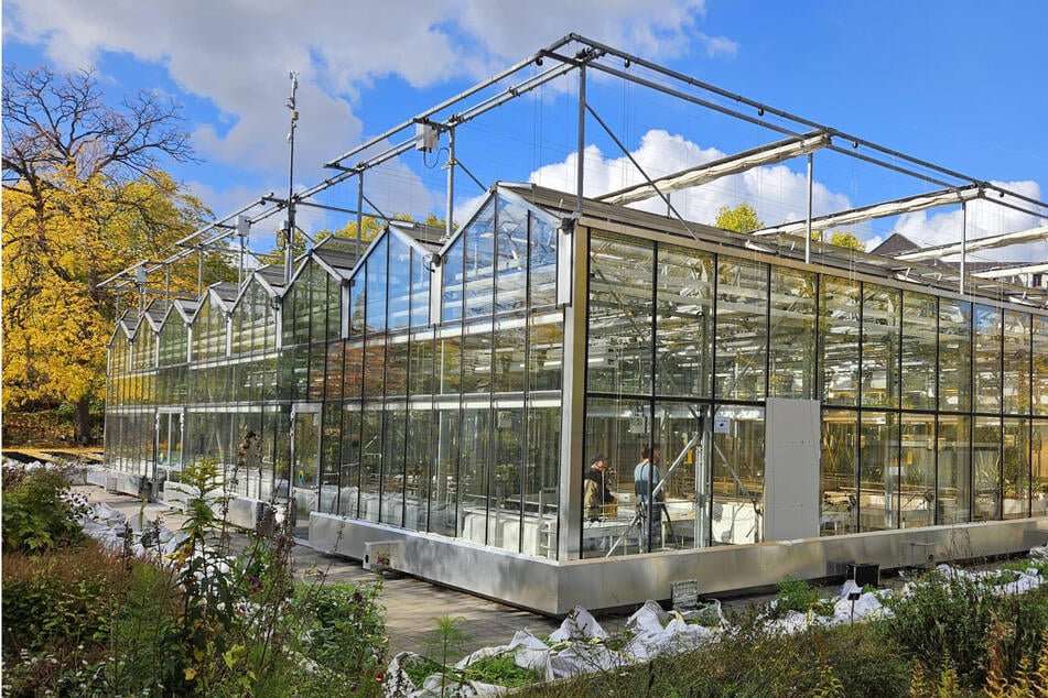 Einbruch im Botanischen Garten Leipzig: Diebe stehlen teure Forschungsgeräte
