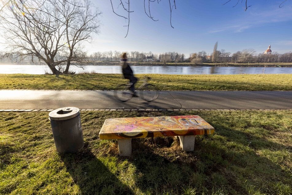 Blitzblank sah es am Sonntag am Elberadweg in Pieschen aus, aber im Winter sammelt sich natürlich auch weniger Müll an.